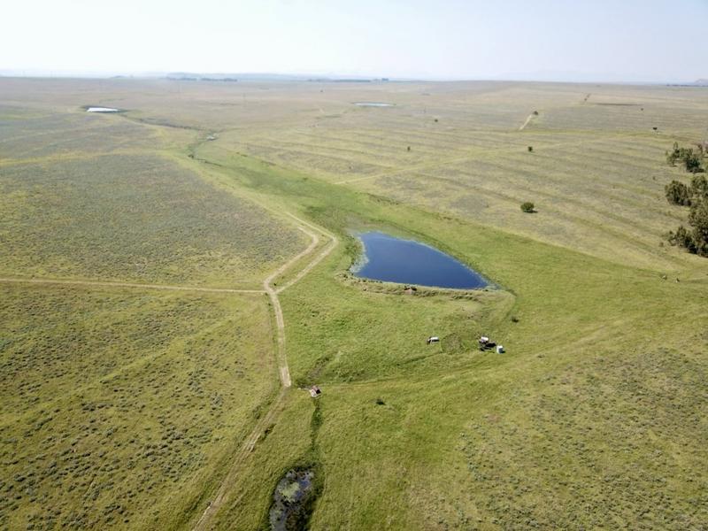 0 Bedroom Property for Sale in Bethlehem Rural Free State